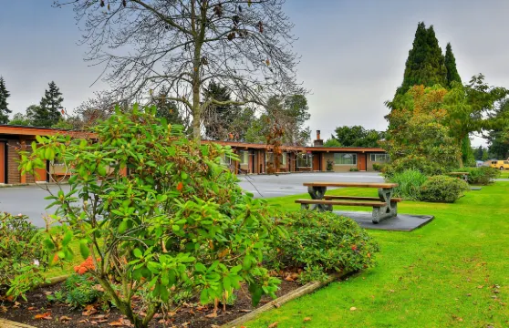 楊梅叢汽車旅館