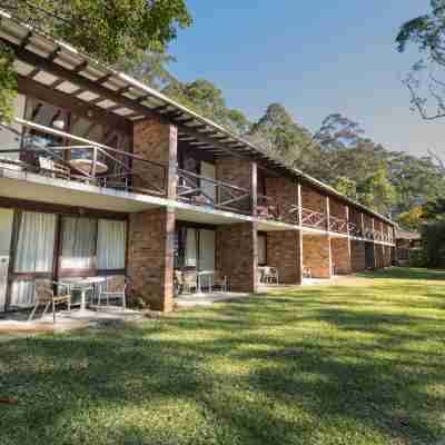 Avoca Beach Hotel Hotel Exterior