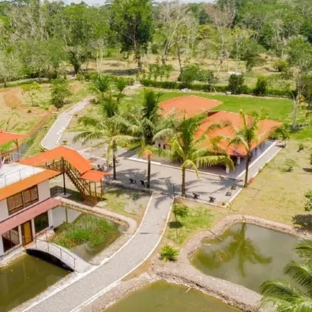 Hotel Magic Paradise
