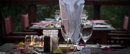 Tanamera Lodge Отели рядом с достопримечательностью «Sabie River Camp»