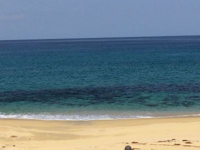 ホテル周辺 マリンブルー屋久島の写真