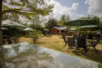 Balis Best Bar and Resort Hotels in Langata