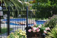 Sportsmans Motor Inn - Pools