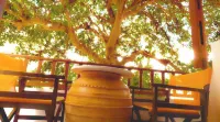 Tinos Heritage Plateia