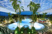 Kneipp-Kurhotel Steinle - Pools