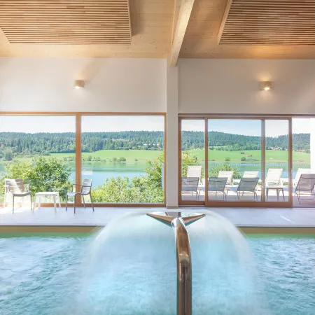 Hotel Spa les Rives Sauvages