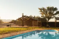 Desert Camp - Pools