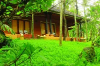 Banasura Hill Resort Hotels in Wayanad