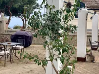 ヴィリーノ エレオノーラ B&B のホテル