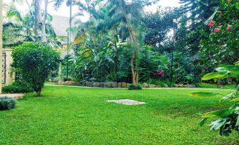 Mimosa Court Apartments