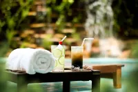 Amazon Plaza Hotel - bar