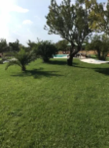 Casa del Grifone