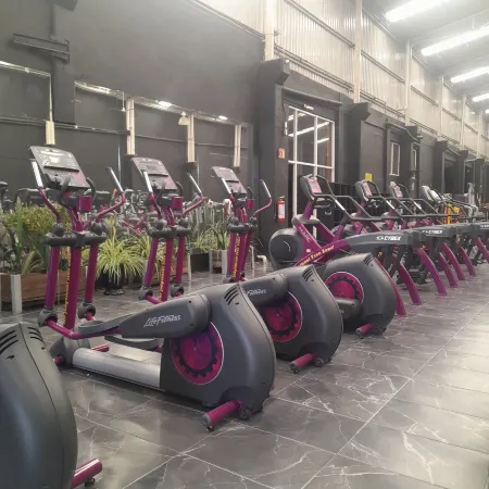 Hotel Soleil Business Class Celaya