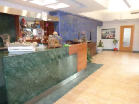 Albergo Hotel Millenium Hotel a Orte