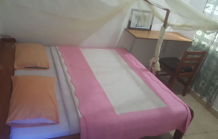 Golden Monkey Guest House