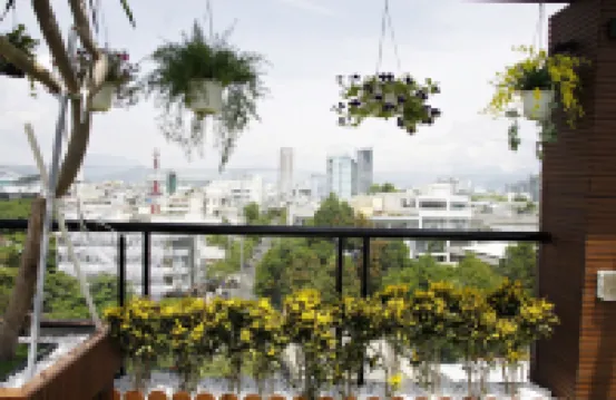 Anh Nguyet Da Nang Hotel