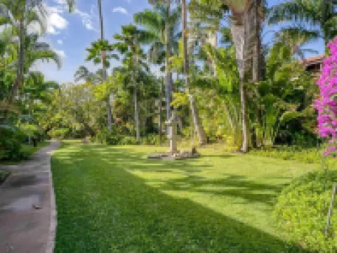 Tropical & Serene Garden Vistas Hotels in Kihei