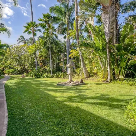 Tropical & Serene Garden Vistas