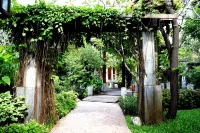 蘇梅島德瓦海灘度假村 大佛寺附近的飯店