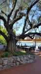Pansion Alen - Dugi Otok Hotels in Luka