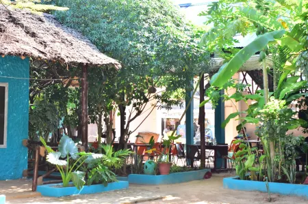La Neisha Hotel Nungwi
