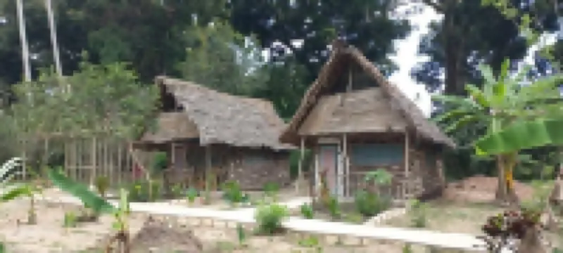 Kv Jungle Bungalows