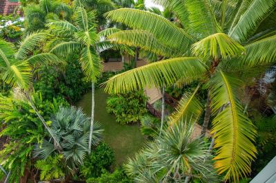 ホテルからの眺望 ホリデイ・イン ケアンズ ハーバーサイドの写真