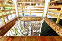 Oceanfront Villa in Amatecampo Beach - Villas