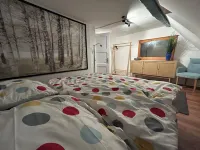 Old poet's house from 1859 Hotels in Miltenberg