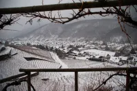 Hotel Emmerich - Mountain view