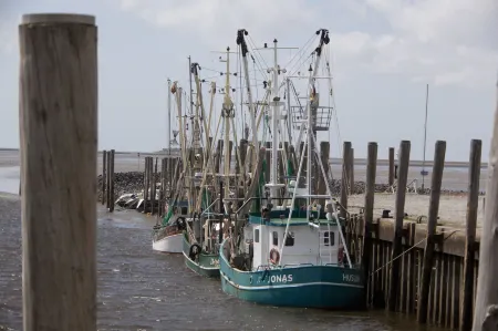 Landhaus Sterdebüll Отели в г. Лангенхорн