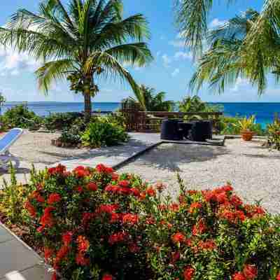 Luxury oceanfront villa, full AC private pool, direct ocean access, great diving Hotel Exterior