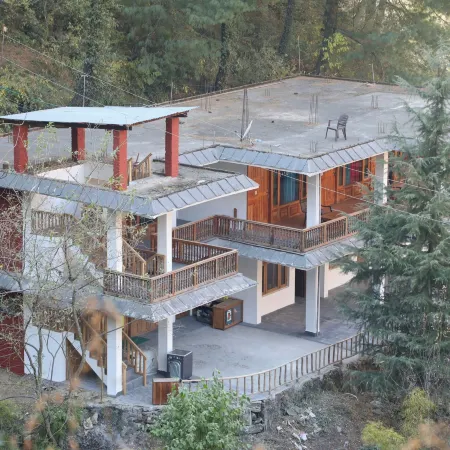 The Woods - Tirthan Valley