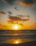 Cayman Imperial Suite-Close to Beaches, Restaurants, Bus-stops & Stores