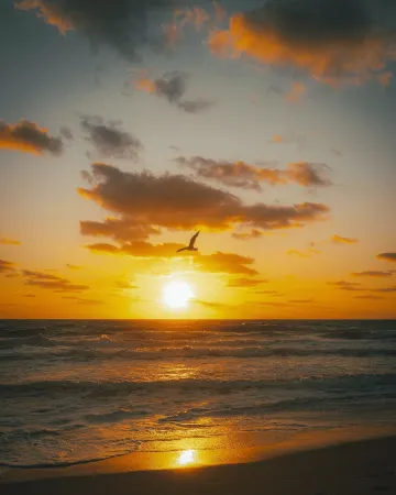 Cayman Imperial Suite-Close to Beaches, Restaurants, Bus-stops & Stores Отели рядом с достопримечательностью «TURTLE LAGOON»