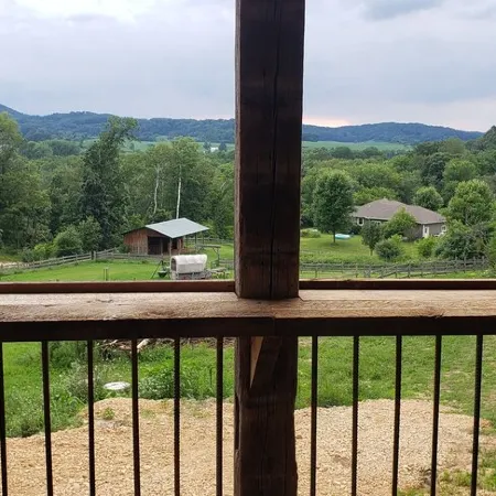 Rustic Cabin on 7 Acres