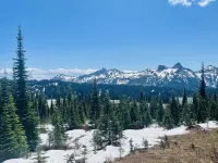 CreeksideCabin at Mt.Rainier dog friendlyFreshOrganicEggs