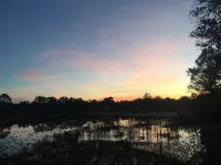 The Luxury Lake Front Zen Casa Hotels in DeBary