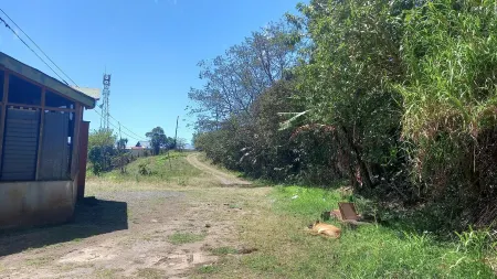 beautiful place a farm. With lots of nature and animals. cozy and quiet cabin.