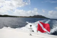 Affordable Waterfront-  Instant Holiday Mode - Lac Bay Casitas