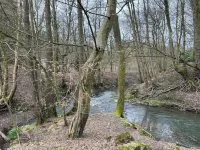 Gemütliche Fewo in Velbert