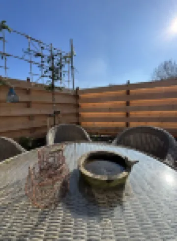 Strand, zee, duinen en bollenvelden. Een unieke plek om te genieten.