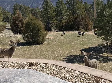 Luxury Lake House with Amazing Views of Glendo Lake and Mountains