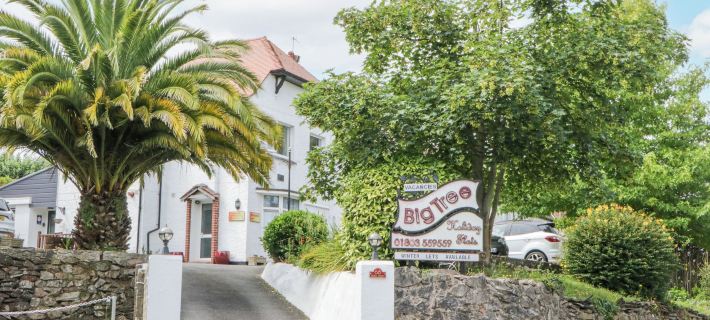Flat 2, Big Tree Holiday Flats Hotels in Paignton
