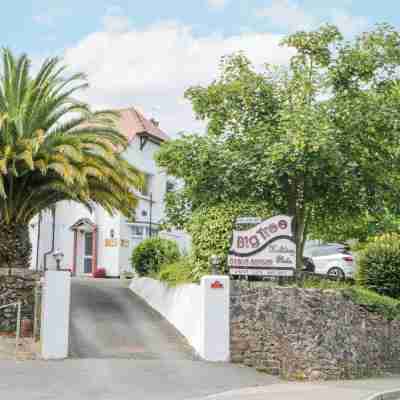 Flat 2, Big Tree Holiday Flats Hotel Exterior