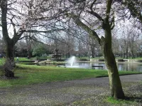 Castlewhite Apartments - Ucc Summer Beds