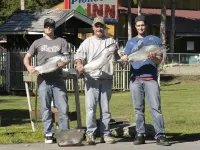 Pioneer Inn by the River Hotels in Port Hardy