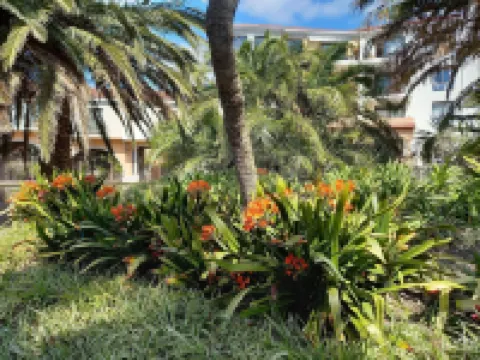 Majorca Apartments by Bon Hotels Hotel a 