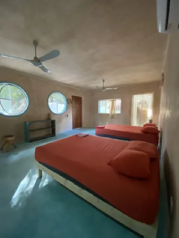 Tubo Tulum Hostel Hotels in 