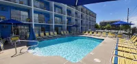 Sea Hawk Motel - Beach